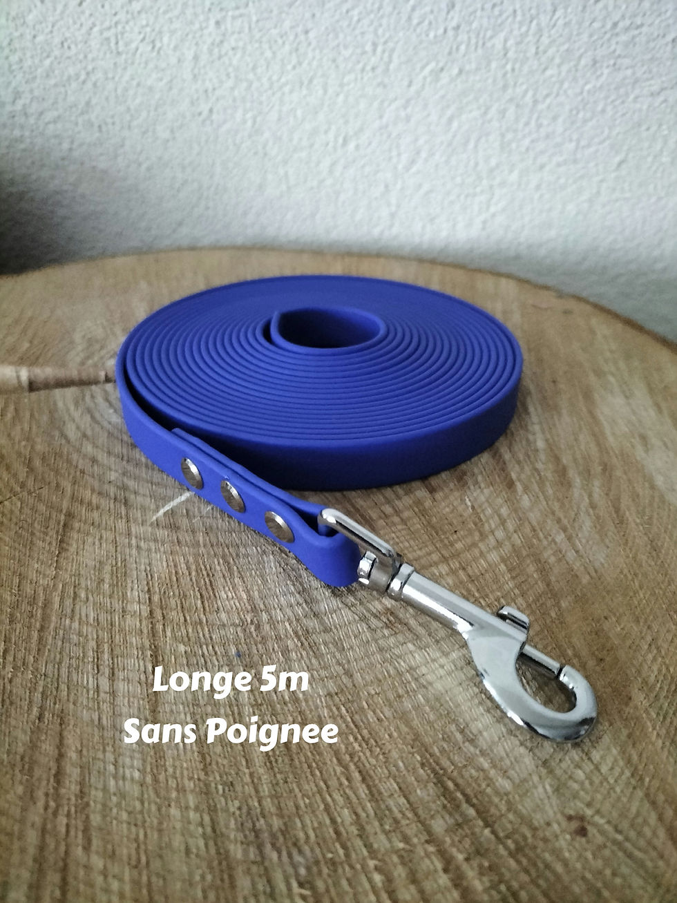 Miniature : Longe en Biothane 15mm