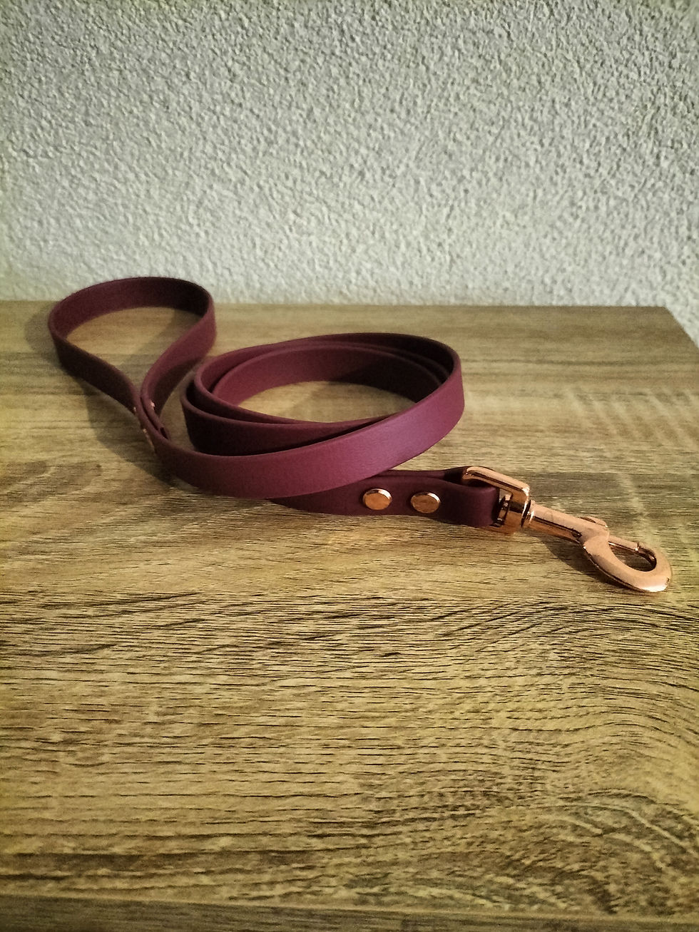 Miniature : Laisse Simple en Biothane