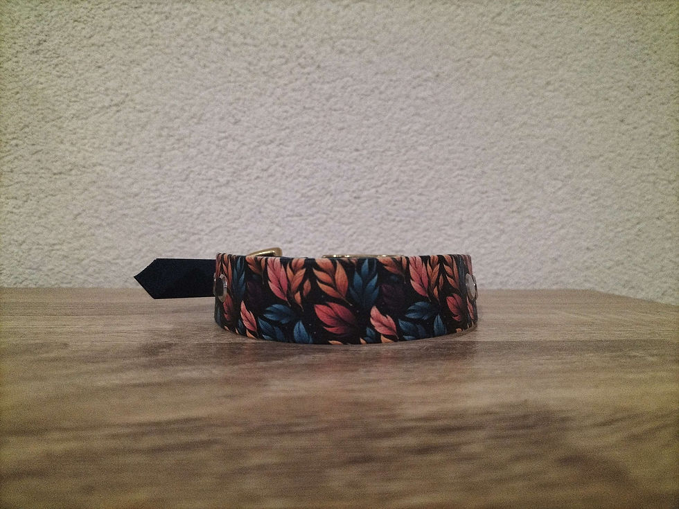 Miniature : Collier Biothane Imprimé Personnalisé XS