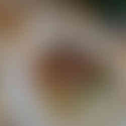 Elegant food served at Park Winters photographed by Justin Buettner Wedding Photography