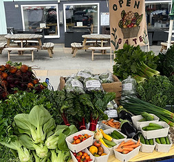 farmres market.jpeg