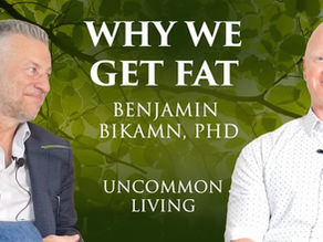 Why We Get Fat: 
the Bikman Interviews