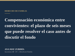 Compensación económica entre convivientes: el plazo de seis meses que puede resolver el caso antes de discutir el fondo