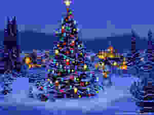 Outdoor decorated Christmas tree in winter at dusk
