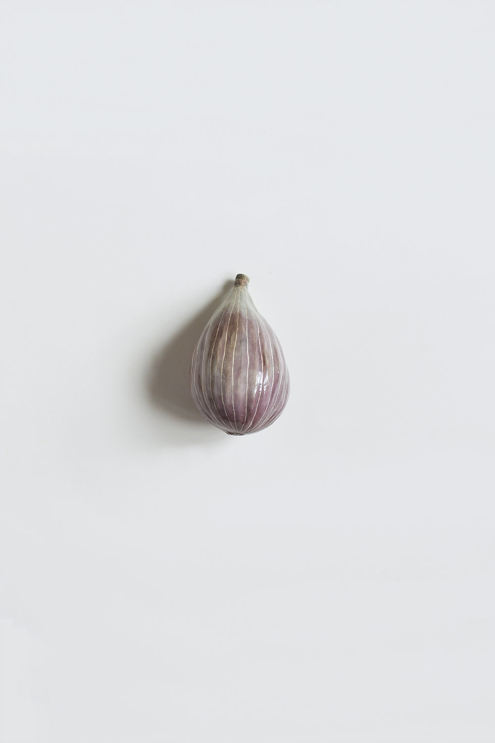 Прев'ю: Керамічний інжир