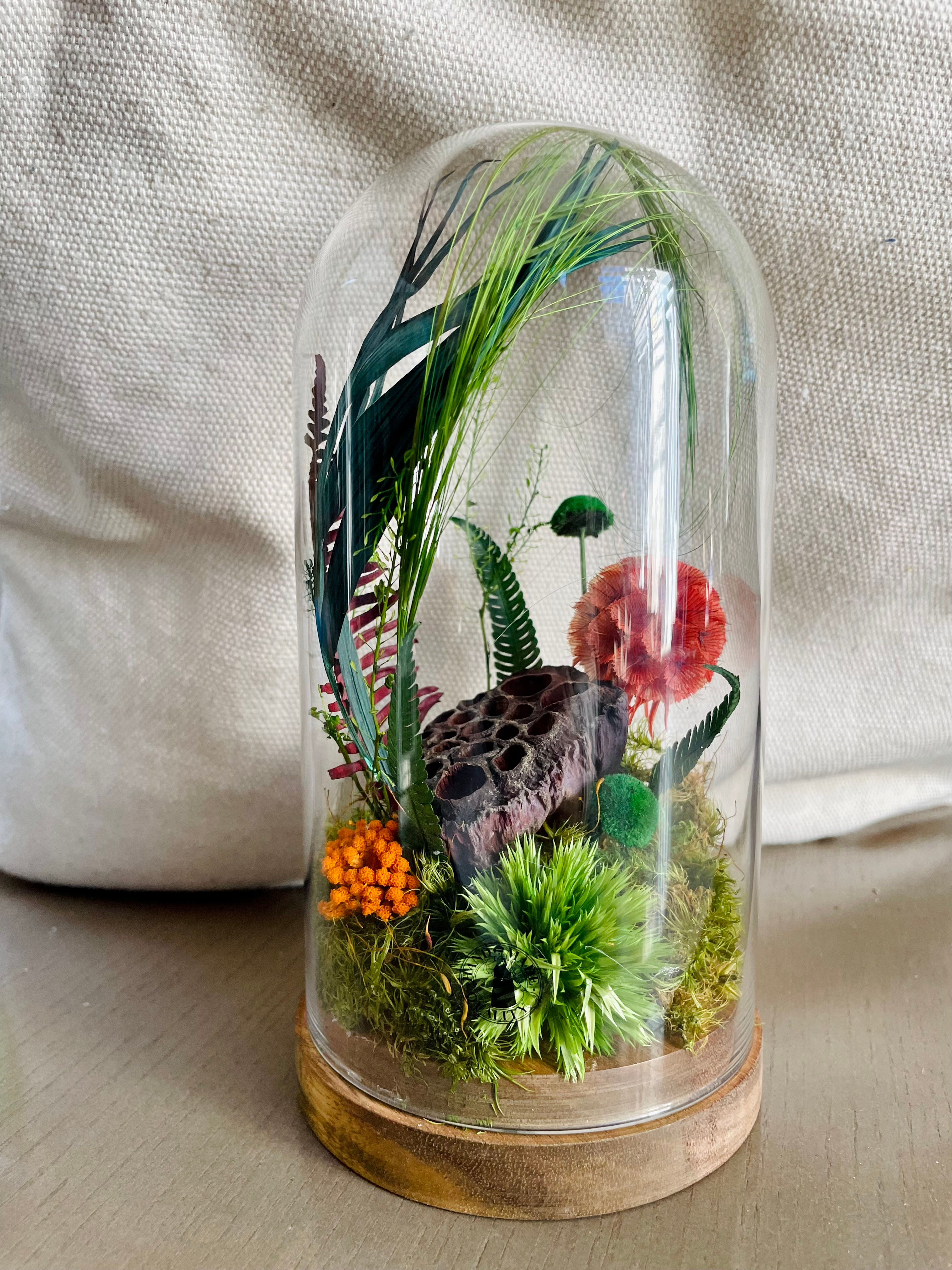 Capsule végétale-Tropicale