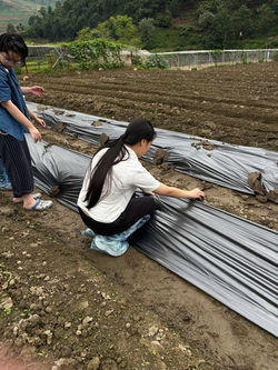 gen-h-z7384078347319_81fc8470443ae453fc43de2b382f9451