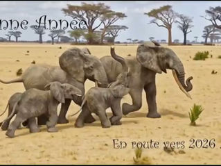 Bonne année à tous ..