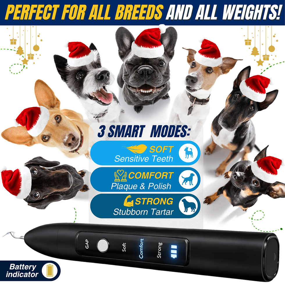 Thumbnail: Pet Ultrasonic Dental Cleaner — Plaque, Tartar & Stains Remover (Black)