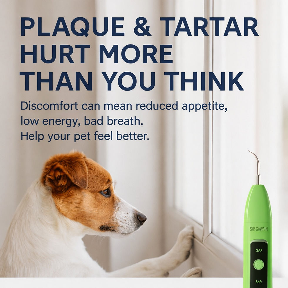 Thumbnail: SIRGAWAIN Pet Dental Cleaner — Plaque, Tartar & Stains Remover (Green)