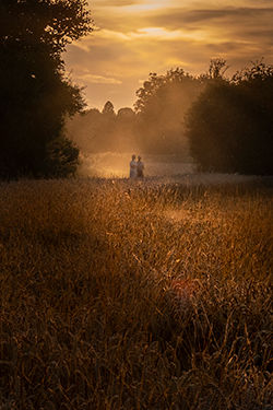 cover-cambridge-diary-2024.jpg