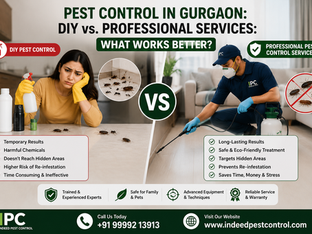 Pest Control in Gurgaon: DIY vs. Professional Services: What Works Better?