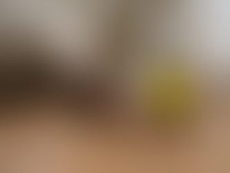 Effective Cockroaches Control in Gurgaon: A Guide