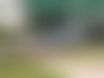 Safe and Long-Lasting Porous Pipe Termite Treatment