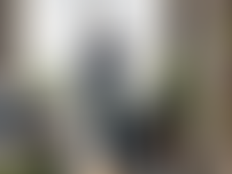 Top 10 Benefits of Hiring Professional Pest Control in Gurgaon