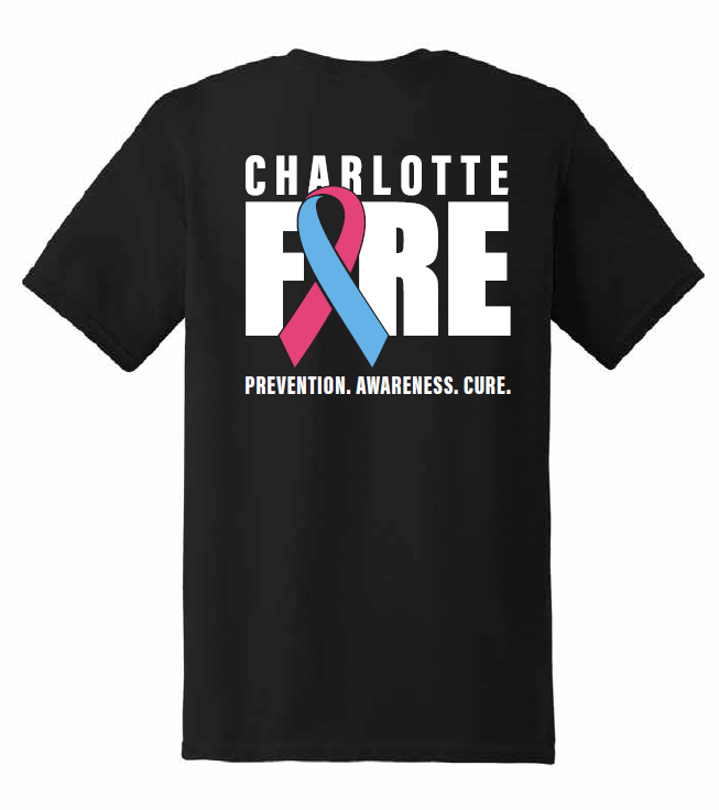 Cancer Awareness Shirt 2025 *IN STOCK*