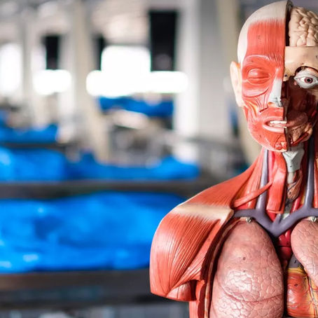 VIDEO – Turning Medical Theory into Practice at Saba’s Gross Anatomy Lab