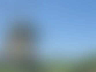 Ook de Dorregeester krijgt een nieuwe rieten mantel