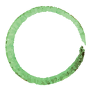 Green Painted Wreath