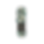 9979 - Caribbean