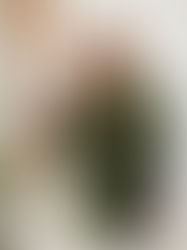 Green Leaf Long Blouse