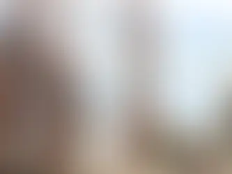 Informatiedeling rond Bulgaarse arbeidsmigranten