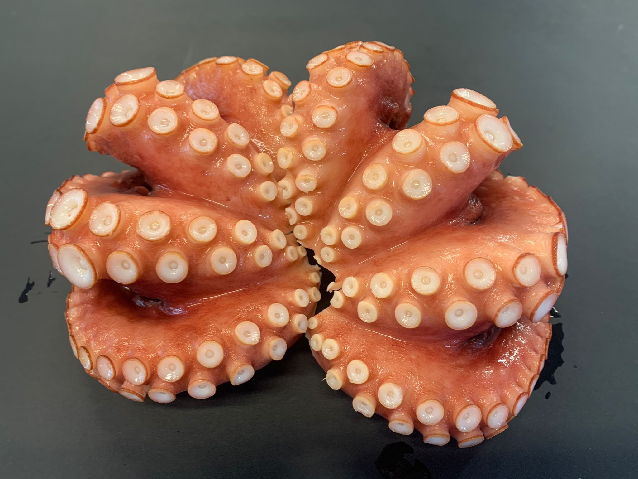 Japanese Giant Octopus Tentacles - $6.50 /100g
