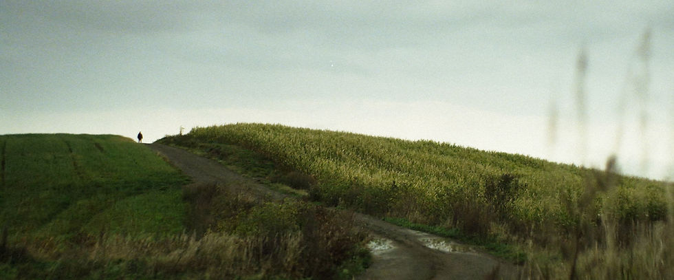 Distillerie du St. Laurent