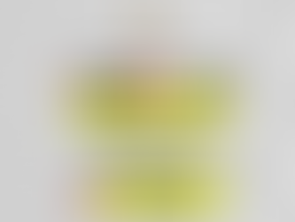 Lançamento da Revista de Convênios SINTET-UFU