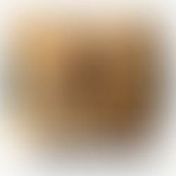 Aprovação do PL 6170/2025: Um tímido avanço diante de uma conjuntura complexa