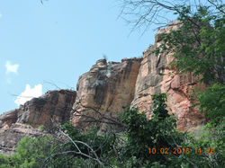 DSCN5013