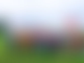 2022養樂。多扶聚樂部開幕