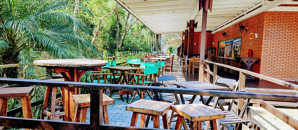 Deck Natureza
