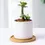Thumbnail: Multi Bamboo Tray Wood Saucer Flower Pot Tray Cup Pad Coaster 