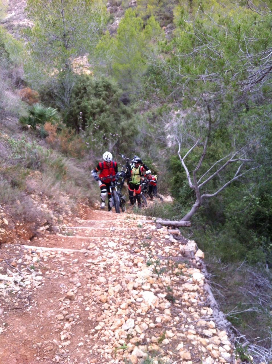 Foto Ruta