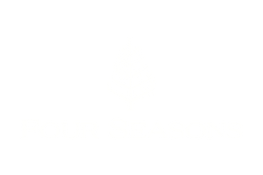 13.png