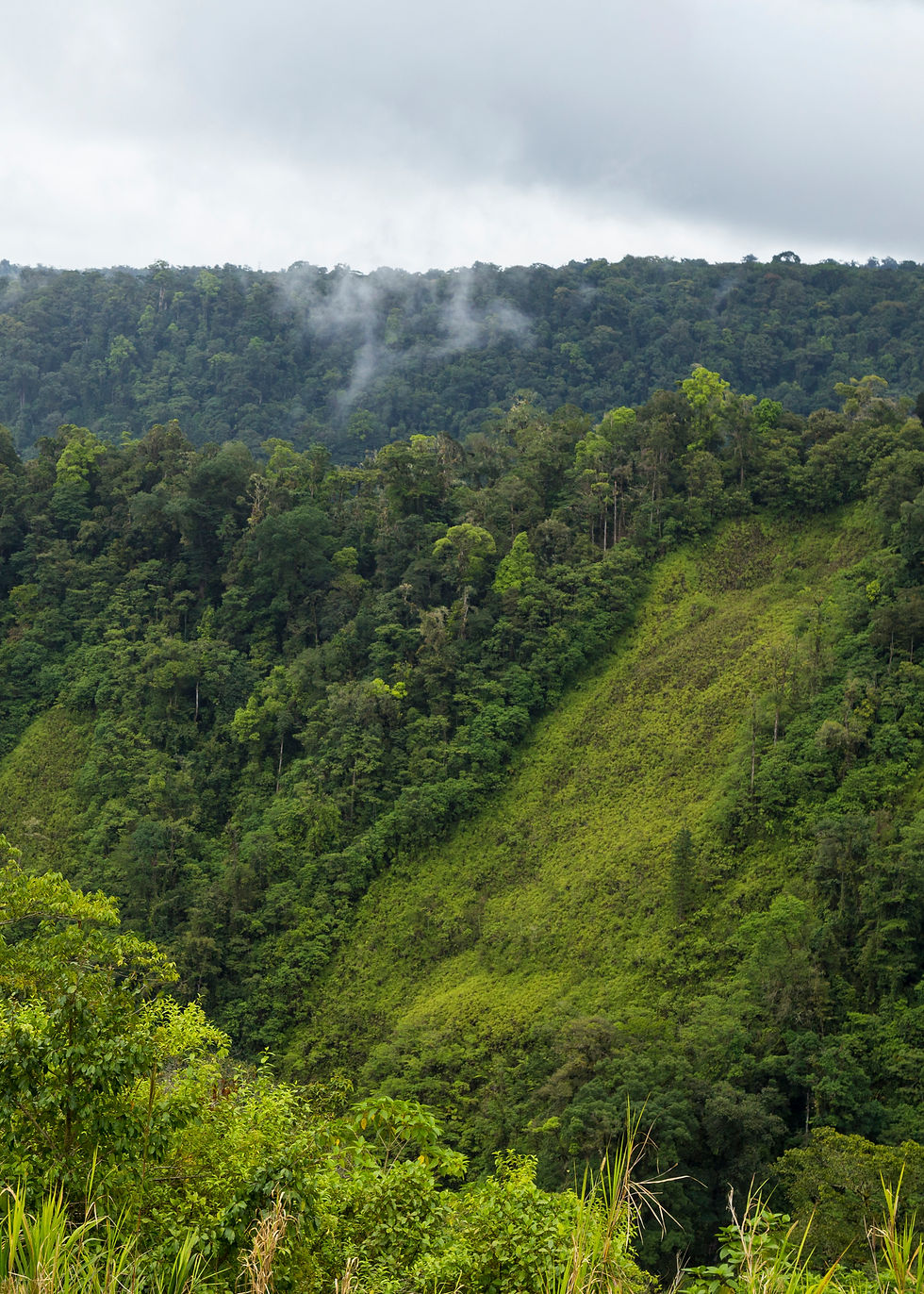 green-lush-valley-mountain-costa-rica.jpg