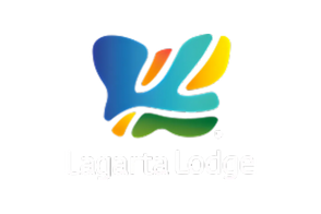 15.png