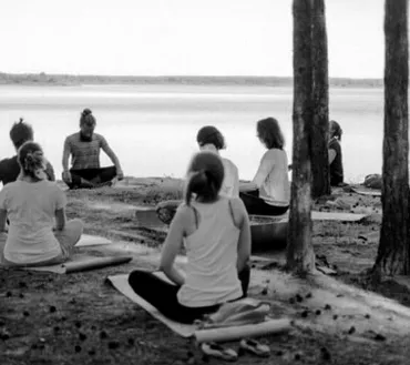 rs=w_370,cg_true,m (5).webp