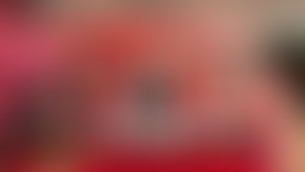 以丝路骏马迎富贵新岁 多美祝愿马年满载而归