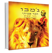 ספר1.png