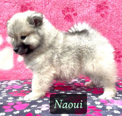 ED3A1D0E-E6CC-4663-A65A-D58599065C92_1_105_c