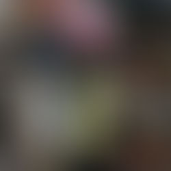 6ix9ine wird beim Baseball mit einer Dose beworfen