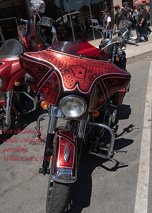 DSC_0809.png