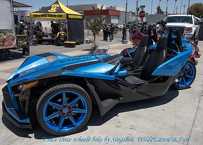 DSC_0863.png