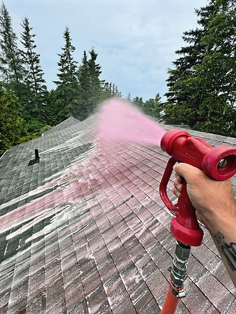 Roof Soft Washing