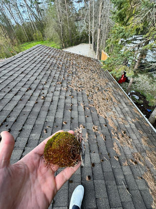 Does Your Roof Need To Be Cleaned? 3 Signs That It's Time For A Soft Wash!