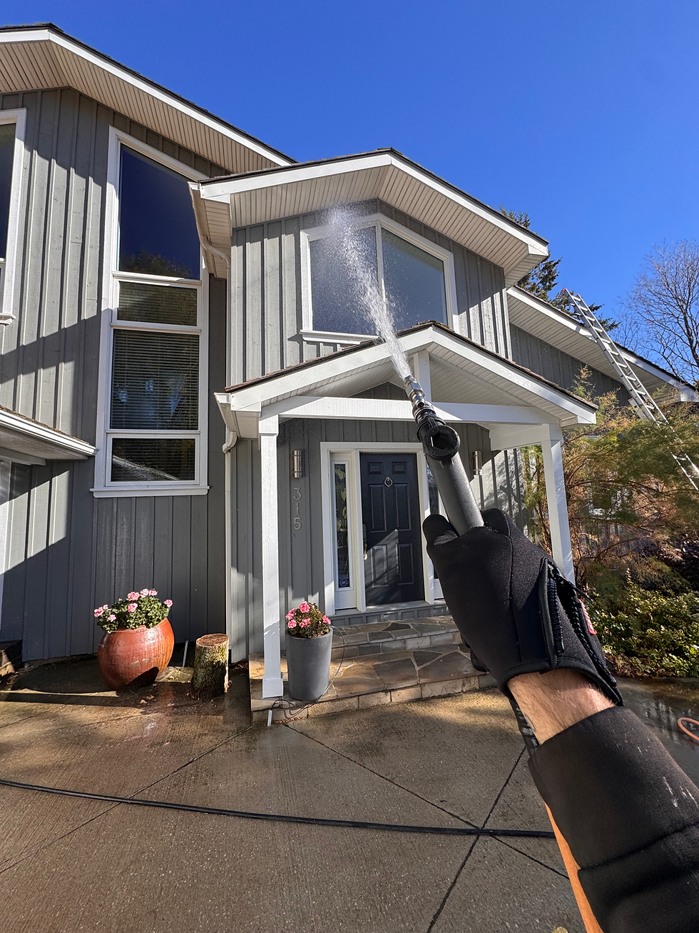 Say Goodbye to Dirty Siding in Wasaga Beach: Why Soft Washing Is the Safest and Most Effective Solution for Algae