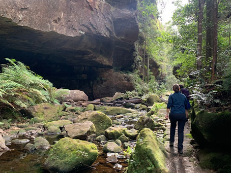Grand Canyon: Descent into Middle Earth