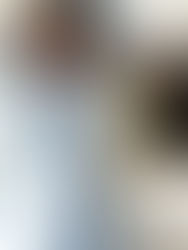 Poupées en porcelaine et l'art conceptuel